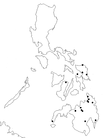 Philippines Map Easy Drawing